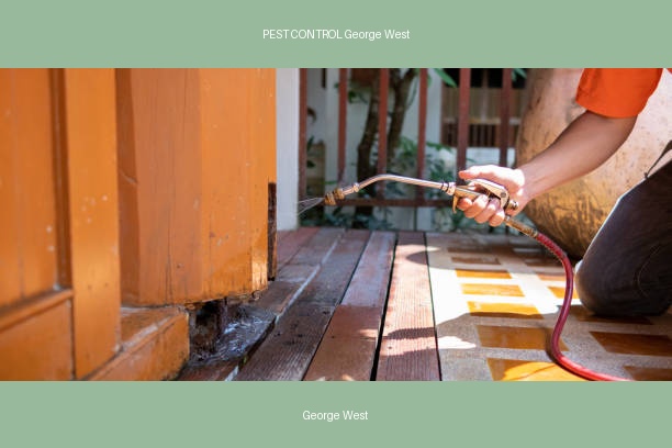 PEST CONTROL George West
